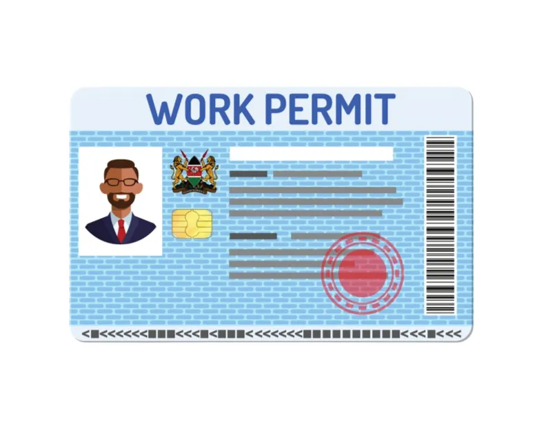 Business visa services in Kenya — NileEdge Immigration
